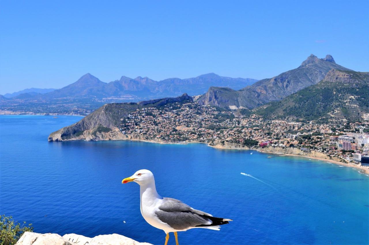Maryvilla 240 Calpe Eksteriør bilde